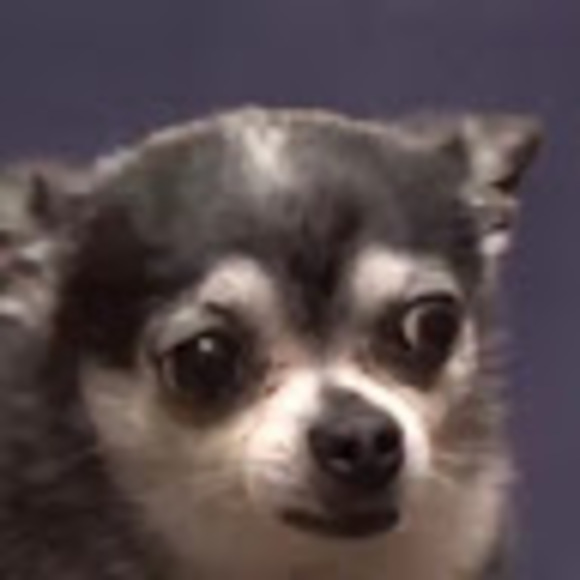 Meet your Posher, Mr - Picture 1 of 1